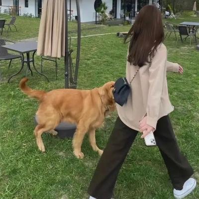 射向矮子的小球