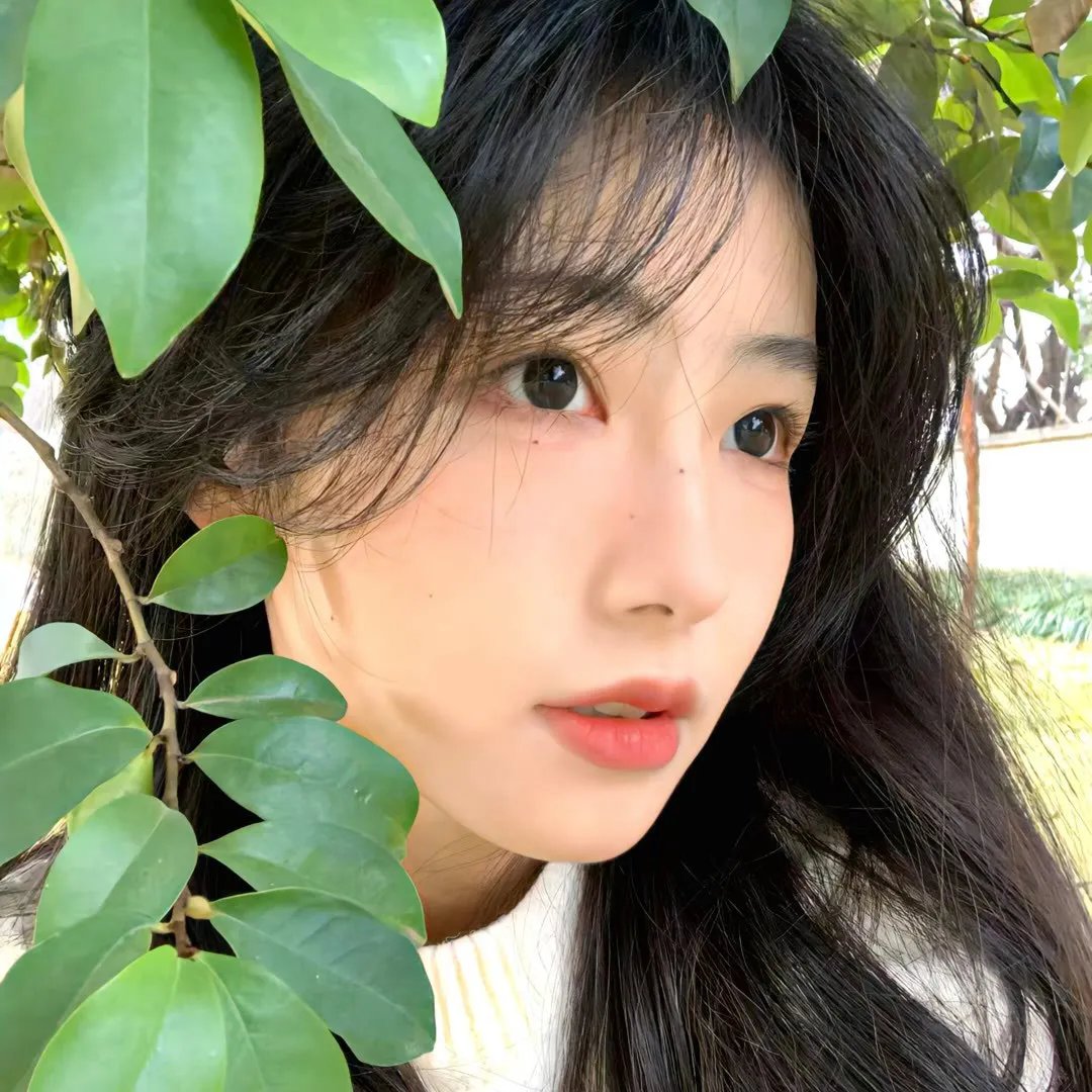 沉睡蝴蝶